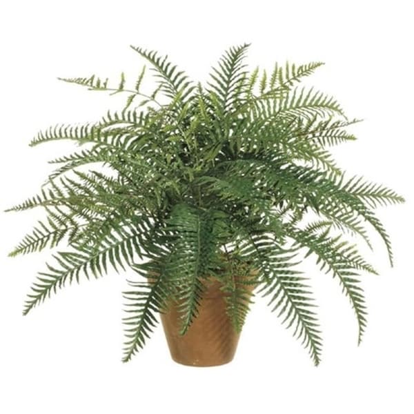 24 Inch River Fern Bush X35 - Qty of 6