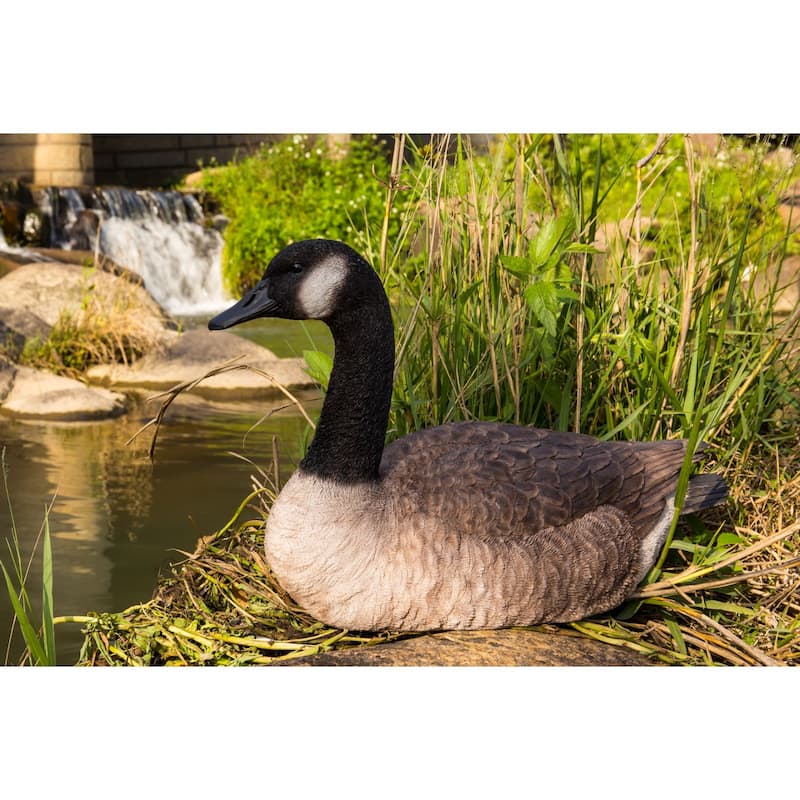 18" Brown and Black Sitting Canadian Goose Outdoor Garden Statue
