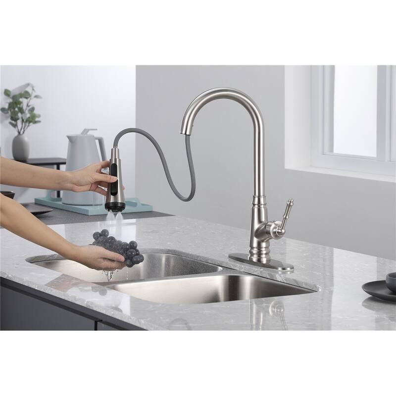 Single Handle Pull-out Kitchen Faucet with Deck Plate Matte Black