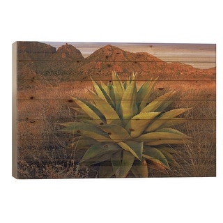 Agave Plants And Chisos Mountains Seen From Chisos Basin, Big Bend ...