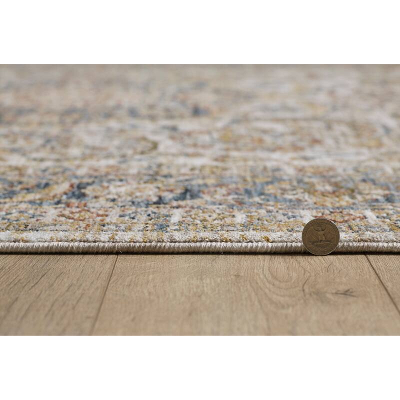Domani Opulence Neutral & Oriental Area Rug