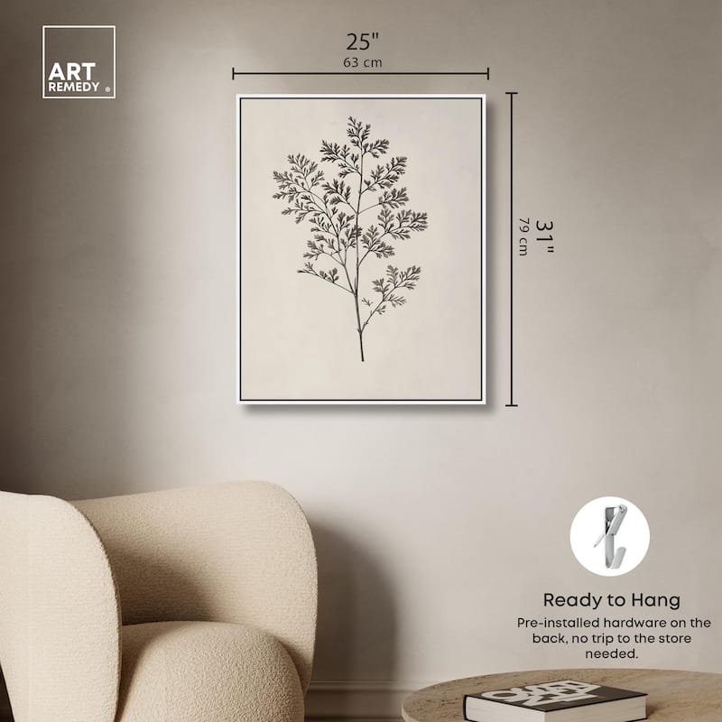 Aniseed Anatomy II Canvas Delicate Floral by Art Remedy