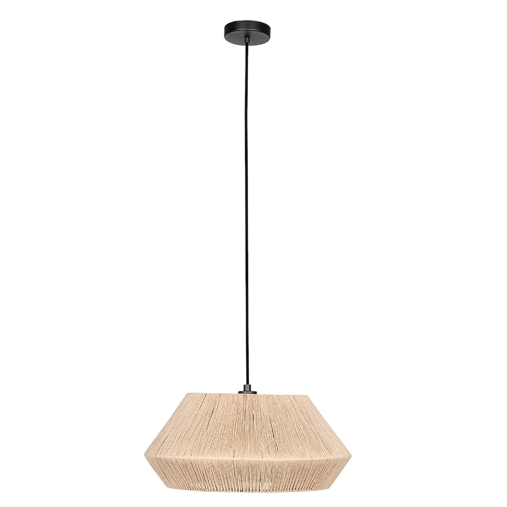 EGLO Alderney 1-Light Dual Ceiling or Pendant Light