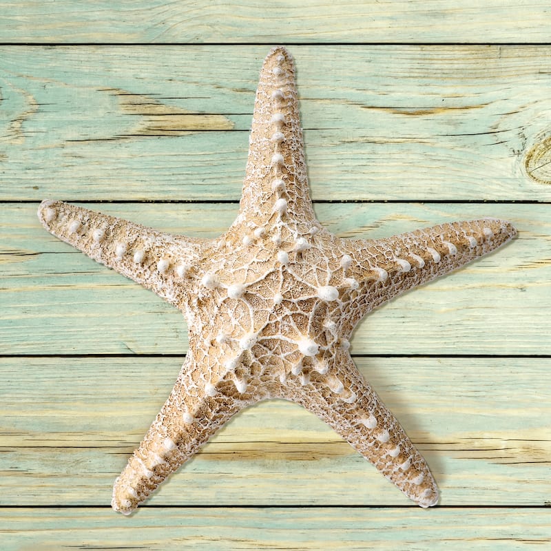 8" Polystone Starfish