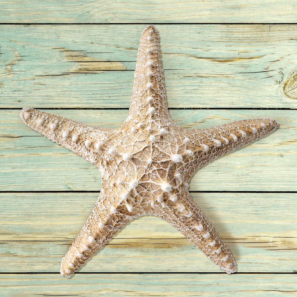 8" Polystone Starfish