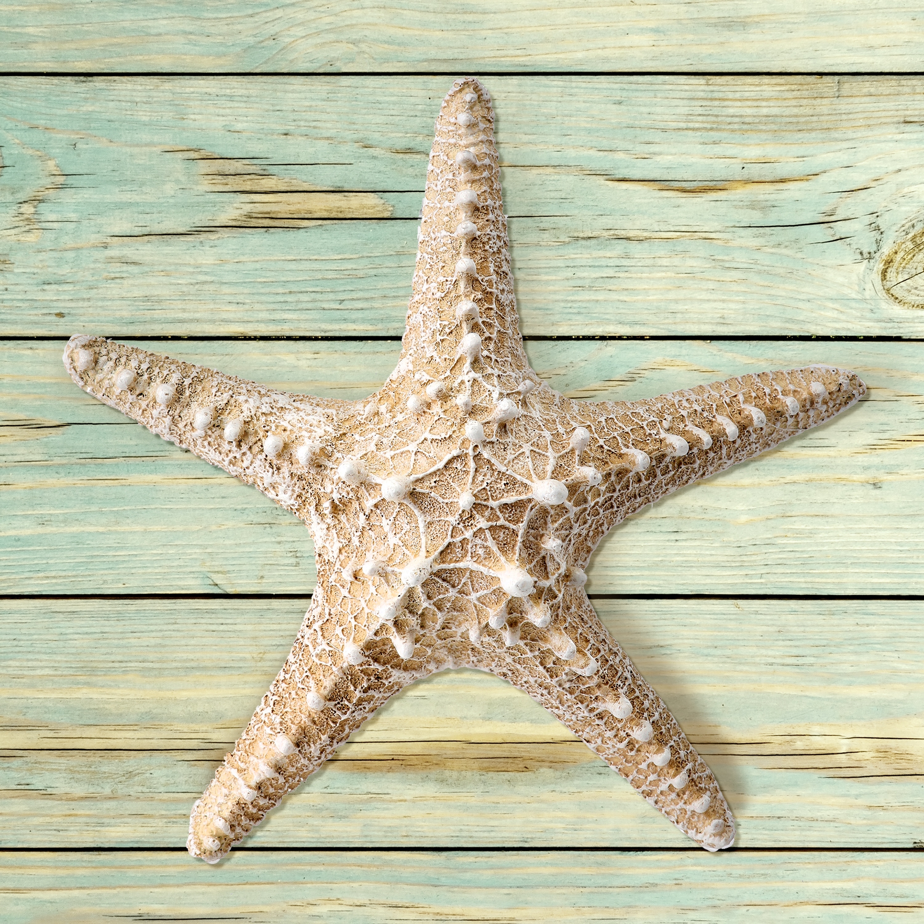 8" Polystone Starfish