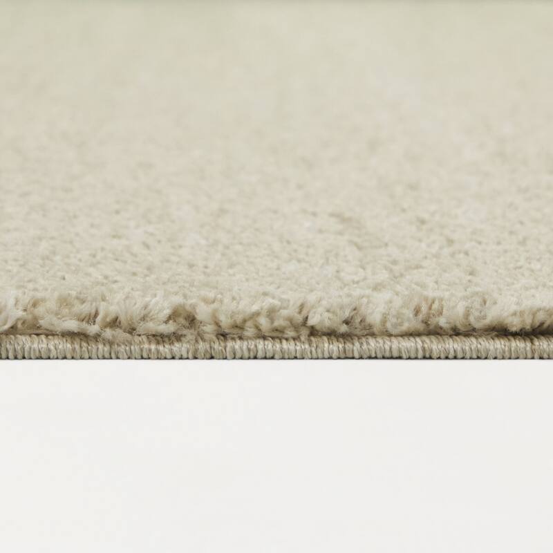 Barwick Minimalist Traditional Area Rug