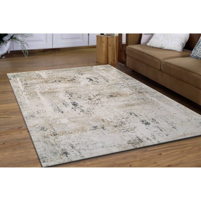 Dynamic Rugs Quartz Transitional Area Rug