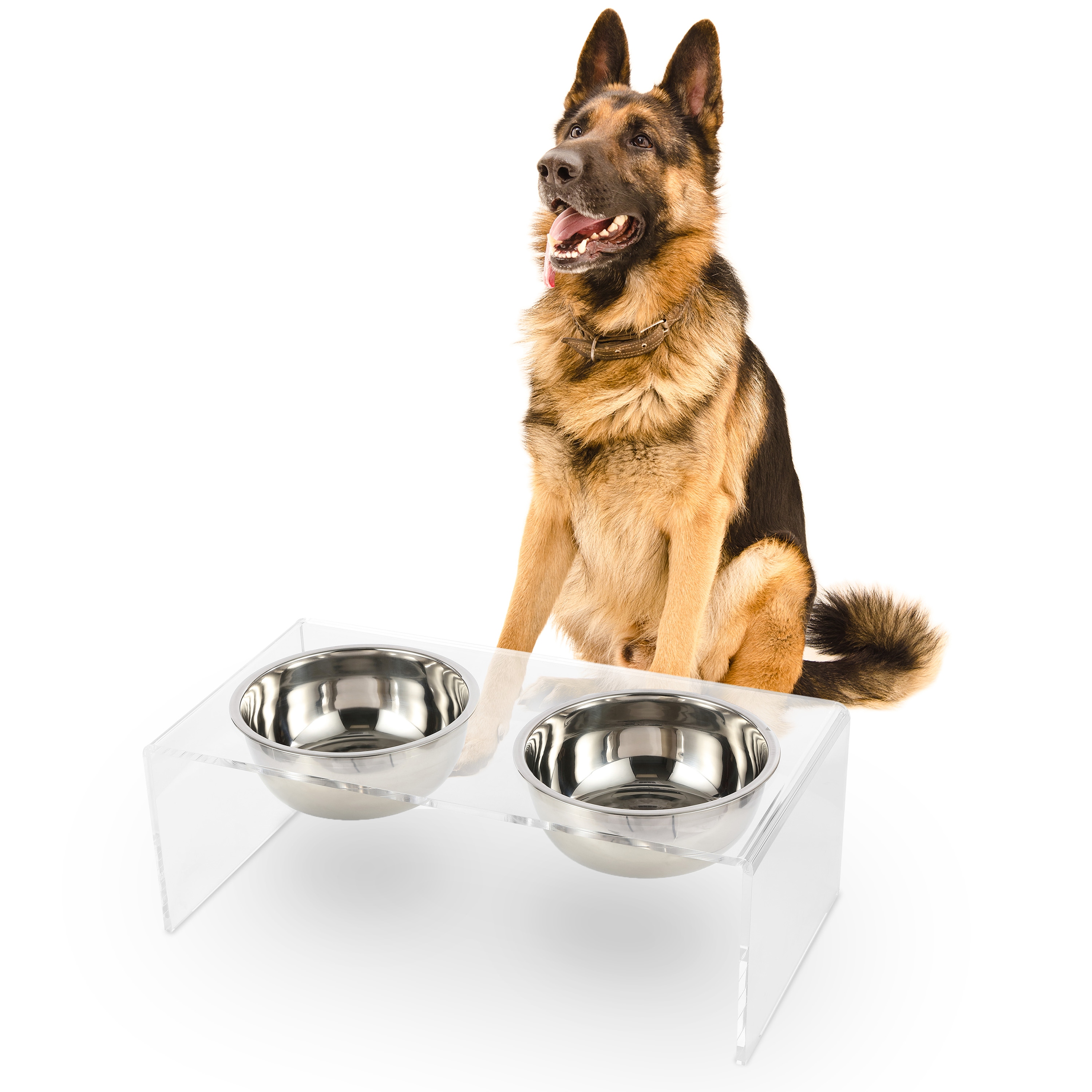 Pet Bowls Bed Bath Beyond