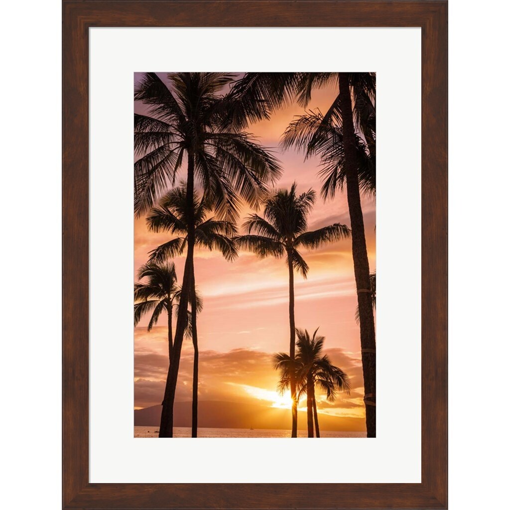 新素材新作 David Fleetham/Stocktrek Images 'Palm Trees At Sunset Of 絵画