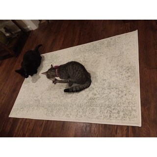 Safavieh Adirondack Dakota Distressed Vintage Boho Oriental Rug