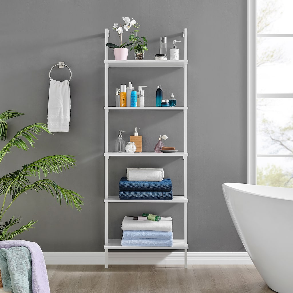 Danya B. Everett 5-Tier Open Display Stand Wall Mount Modern Metal Frame Ladder Shelf