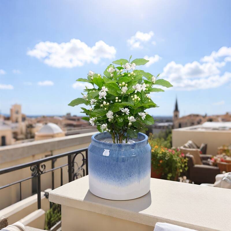 Elegant Ombre Glaze Non-Porous Ceramic Planters Pot for Aquatic Plants