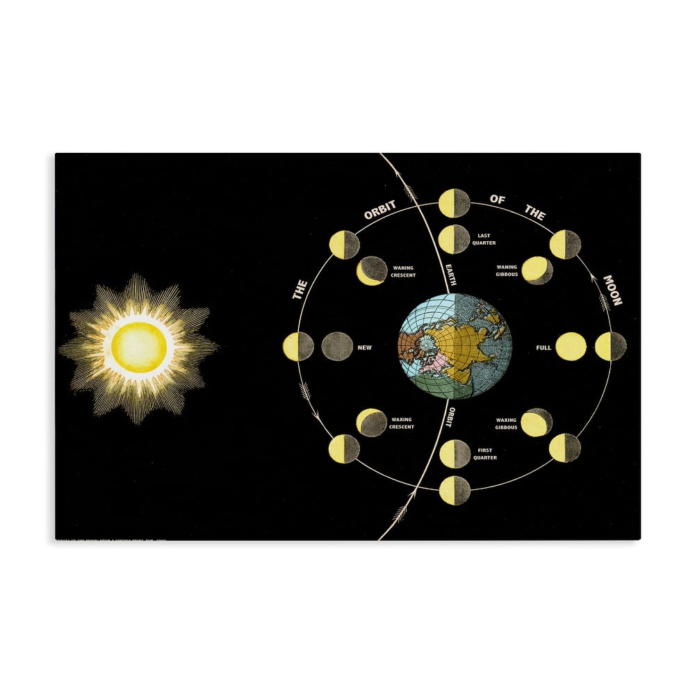 Stupell Moon's Orbit & Phases Canvas Wall Art Design By Phillipa Katz