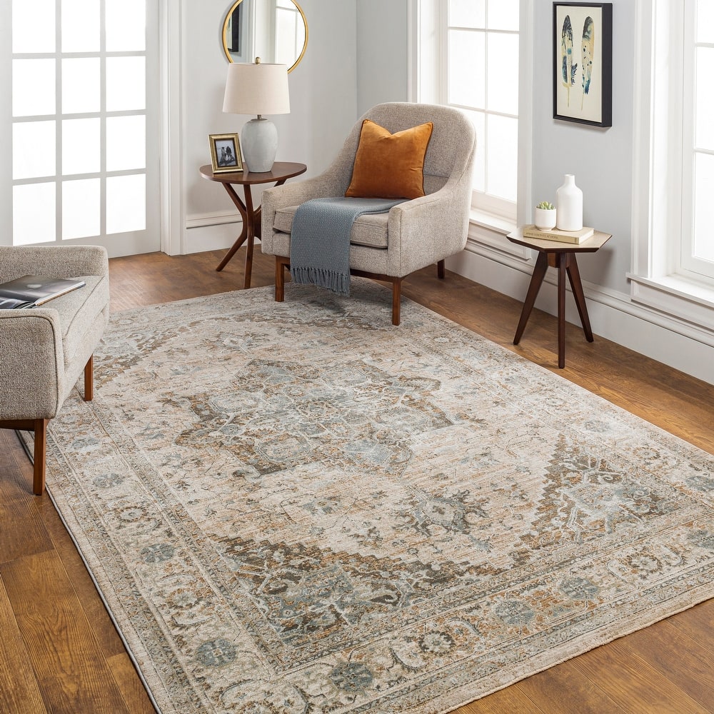 Artistic Weavers Remyr Vintage Distressed Area Rug