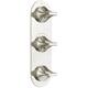 Option Platinum Nickel