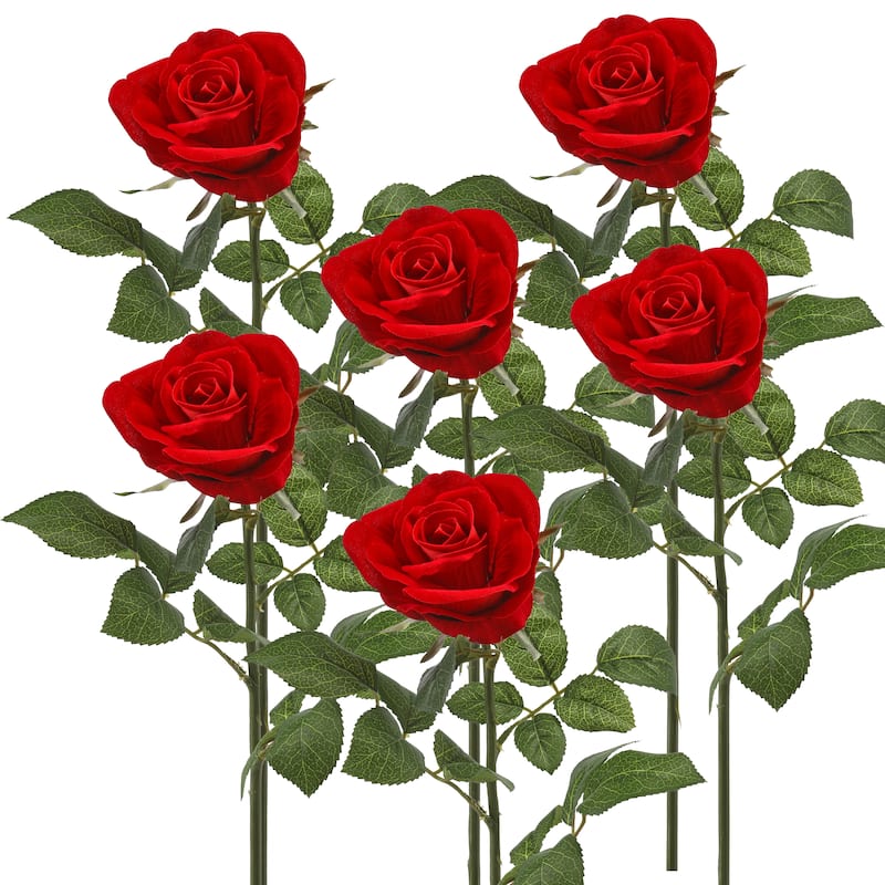 25" Velvet Rose Stem