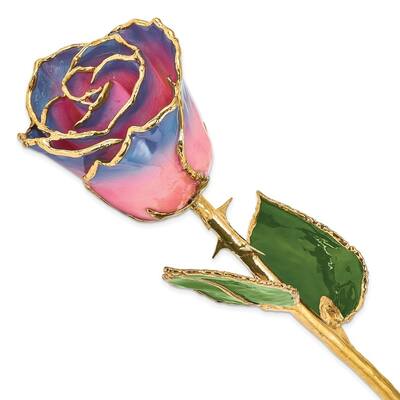 Curata Lacquer Dipped Gold Trimmedmed Pink/Navy Real Rose