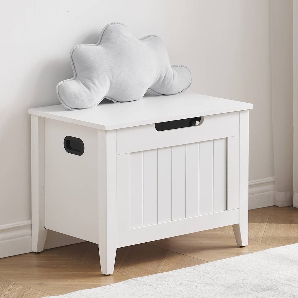 Entryway Storage Bench with Lift Top Hidden Space
