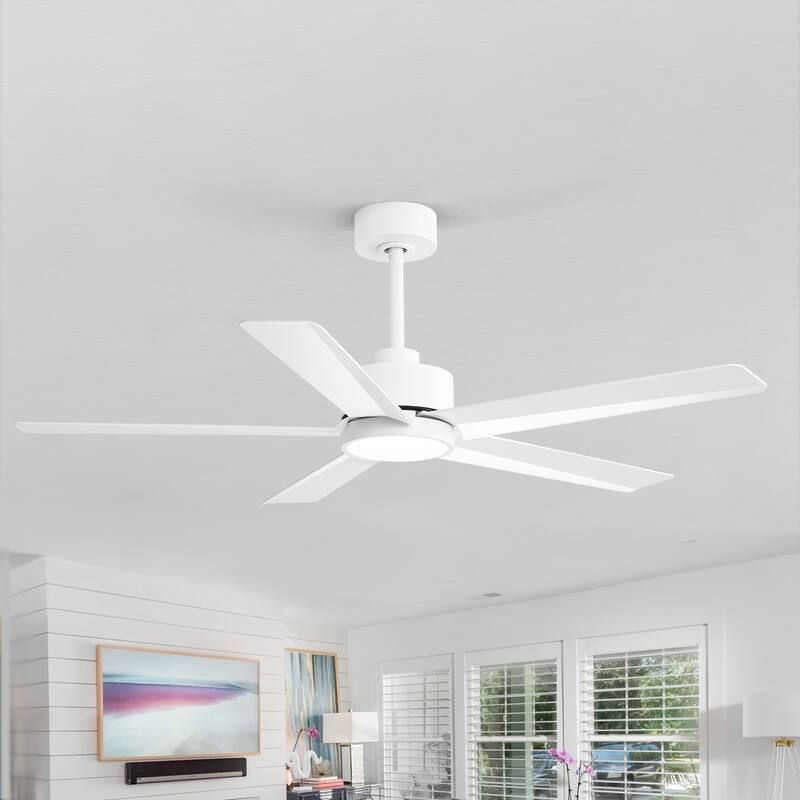 Breezary 65"/52"/42" 5-Blade LED Ceiling Fan with Light Kit and Remote