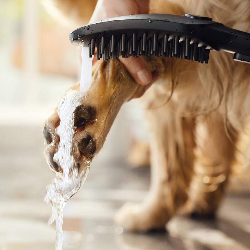 Hansgrohe 04973 DogShower 150, 3-Jet Select Hand Held Dog Shower with