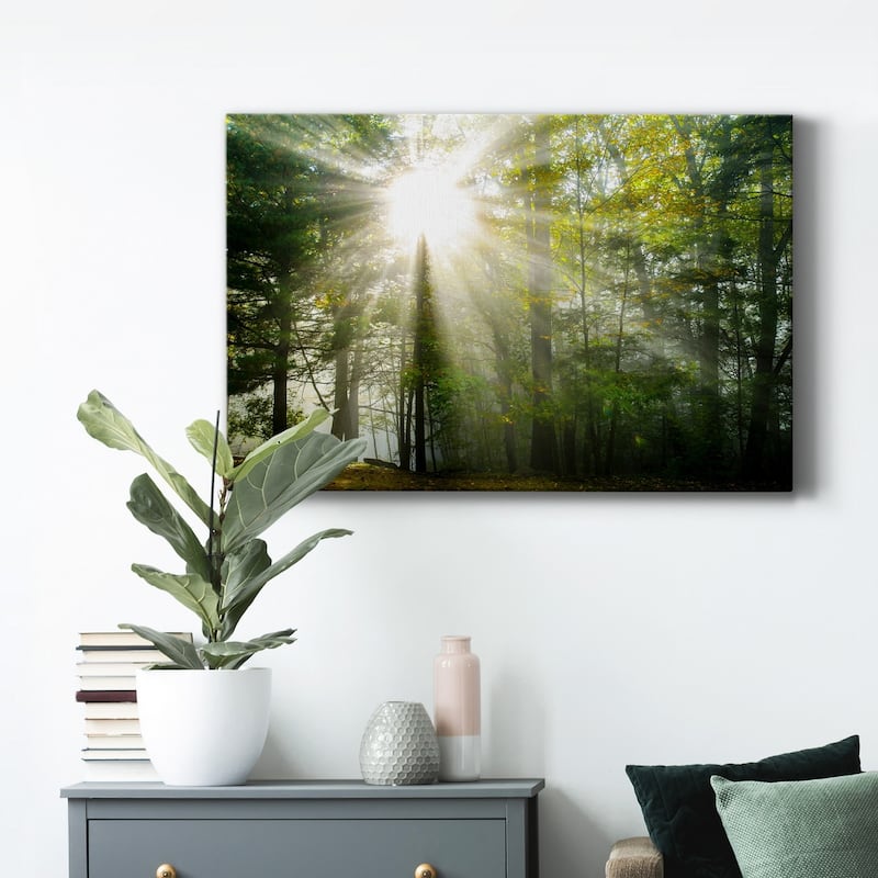 Light and Trees II Premium Gallery Wrapped Canvas - Ready to Hang