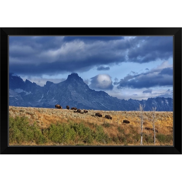 "Migration - Grand Teton National Park" Black Framed Print