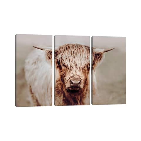 iCanvas "Blonde Highland Cow Face" by Lauren Lilly 3-Piece Canvas Wall Art Set