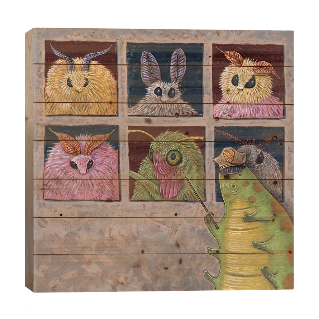 Faces Of Moth Print On Wood by Holly Wood - Multi-Color