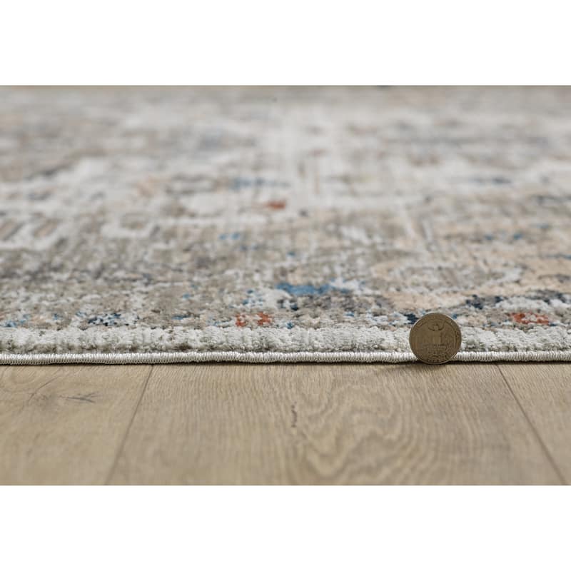 Domani Craze Modern Elegance Border Area Rug