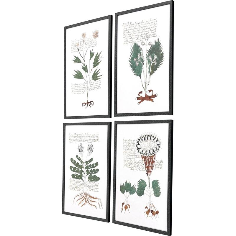 Paragon Magical Botany Framed Art - Set of 4