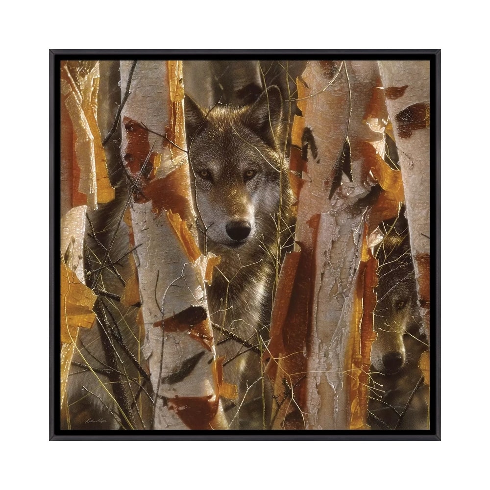 iCanvas "Wolf Guardian, Square" by Collin Bogle Framed
