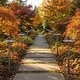 preview thumbnail 2 of 10, 18" Antique Brass Outdoor Path Light Wide-Brim Dark Sky Landscape Lighting (G4 Bulb Compatible)