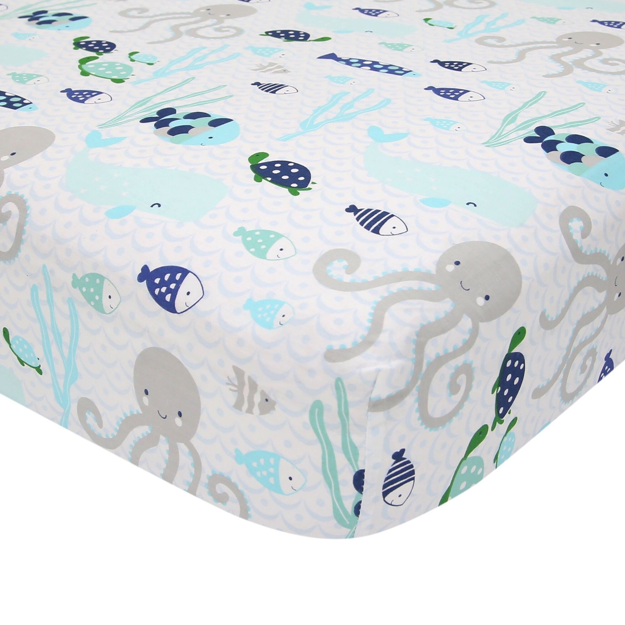 Lamb and hot sale ivy oceania