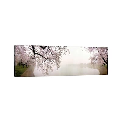 iCanvas "Cherry blossoms at the lakesideWashington DC, USA" by Panoramic Images Canvas Print