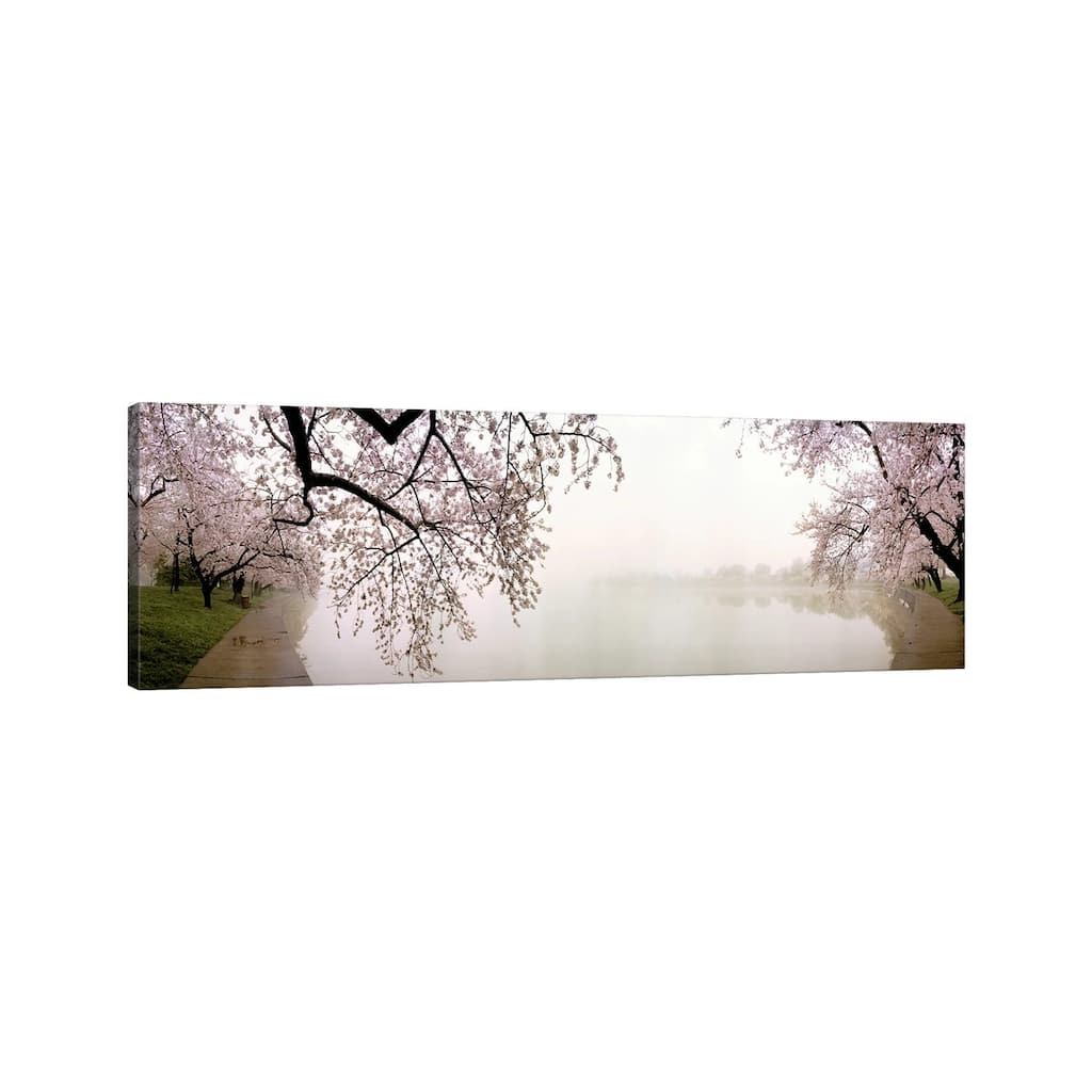 iCanvas "Cherry blossoms at the lakesideWashington DC, USA" by Panoramic Images Canvas Print