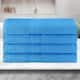Option Aster Blue