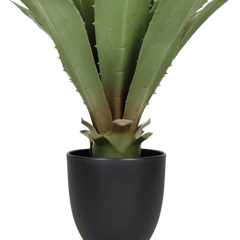 20in Artificial Agave Succulent Plant in Black Pot - 20" H x 18" W x 18" DP