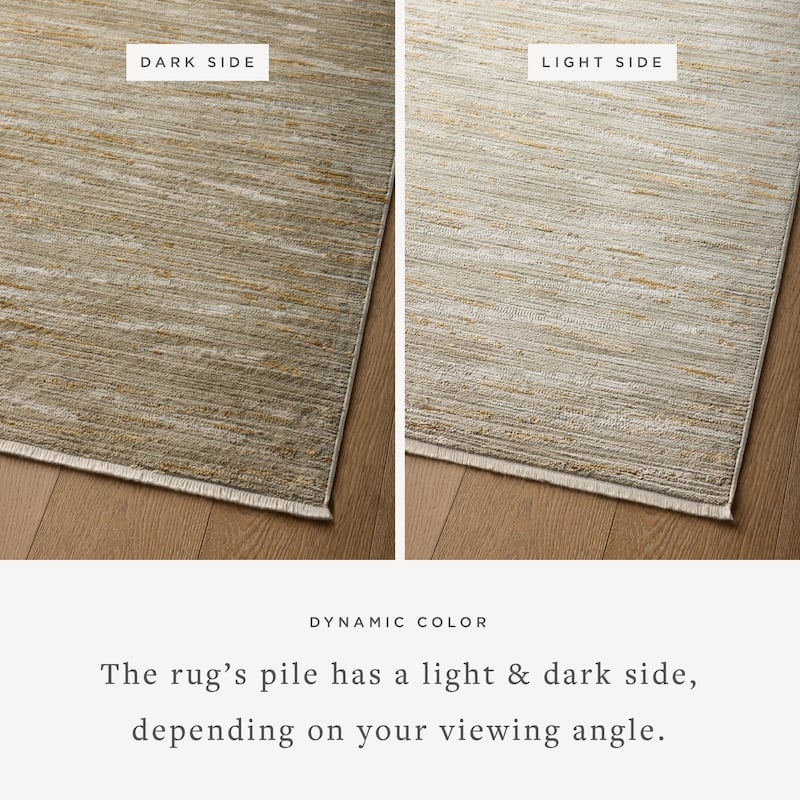 Alexander Home Bradley Modern Micro Fringe Area Rug