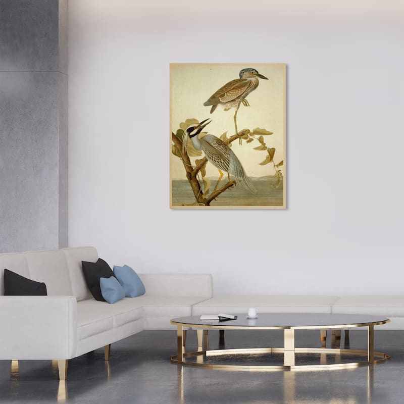 Wynwood Studio Canvas Animals Herons of The Americas White and Cream White Traditional Wall Art Canvas Print - 36 x 30