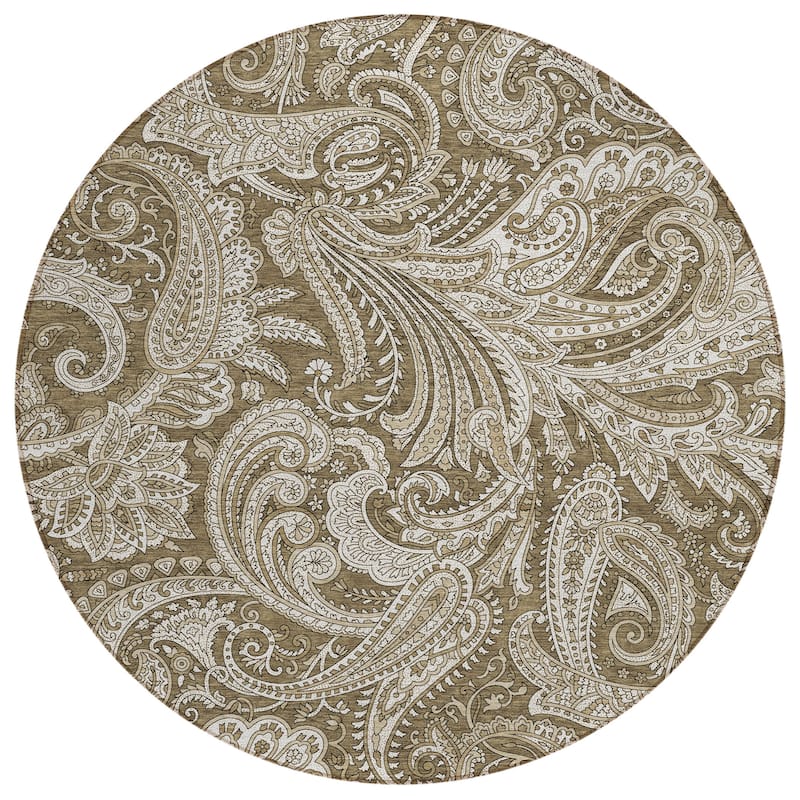 Machine Washable Indoor/ Outdoor Chantille Traditional Paisley Rug