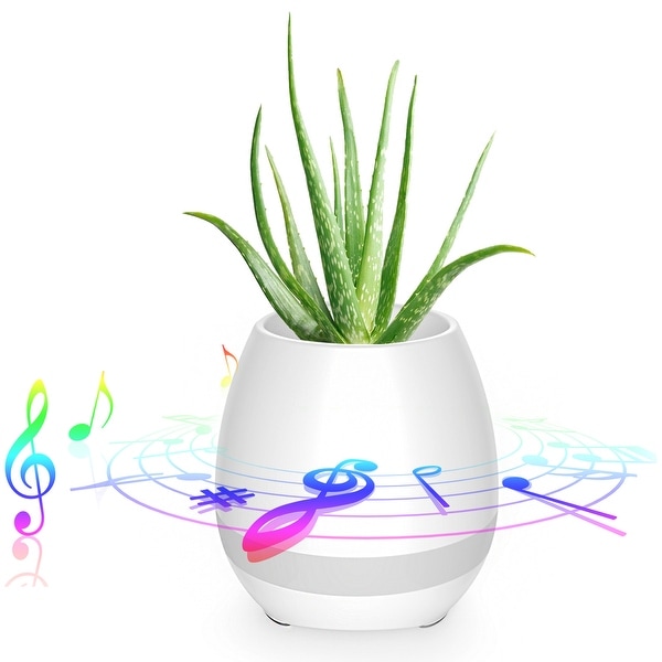 piano flower pot