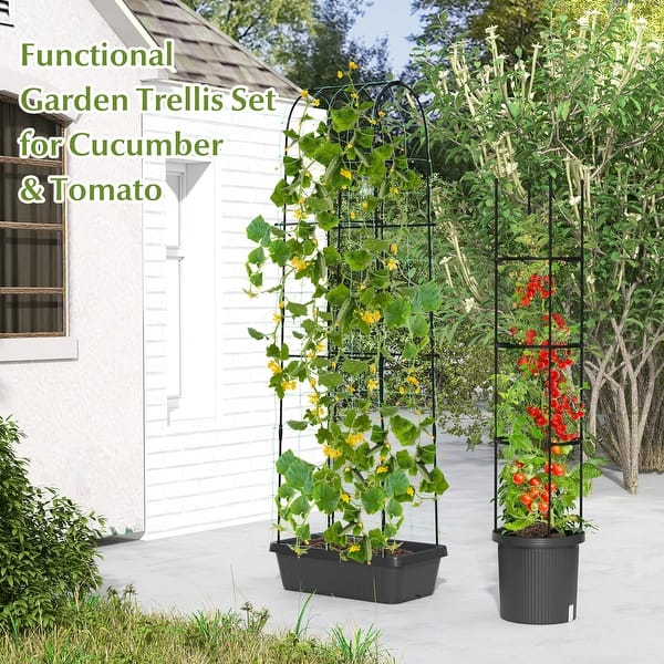 Black Garden Trellis Plant Support Set with Adjustable Tomato Cage and  Flower Boxes - 12" x 58.5" - Bed Bath & Beyond - 40248579