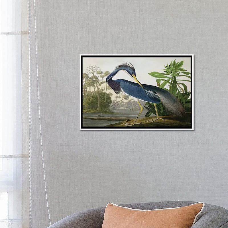 iCanvas "Louisiana Heron" by John James Audubon Framed Canvas Print