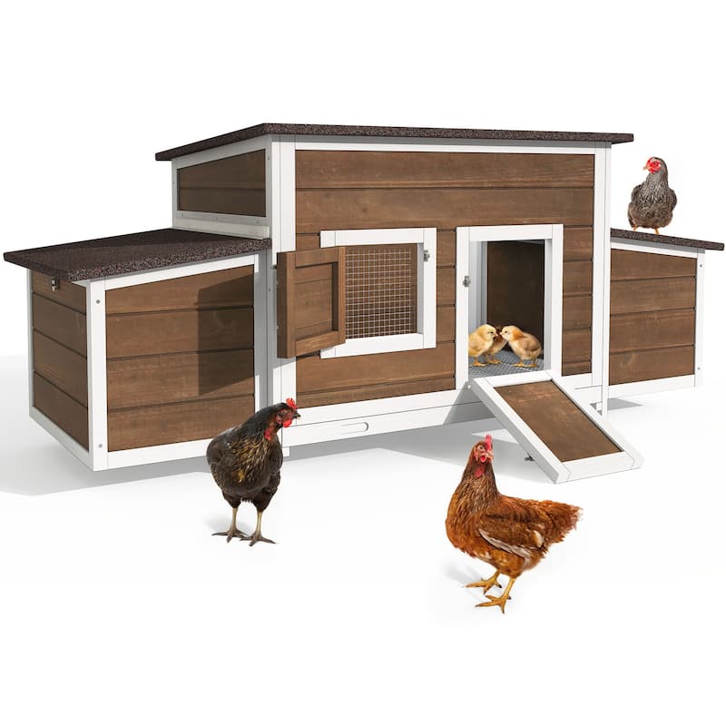 Outdoor Wooden Chicken Coop Hen House with Nesting Box and Run Poultry Cage-66.92"L x 24.8"W x 27.95"H - Brown