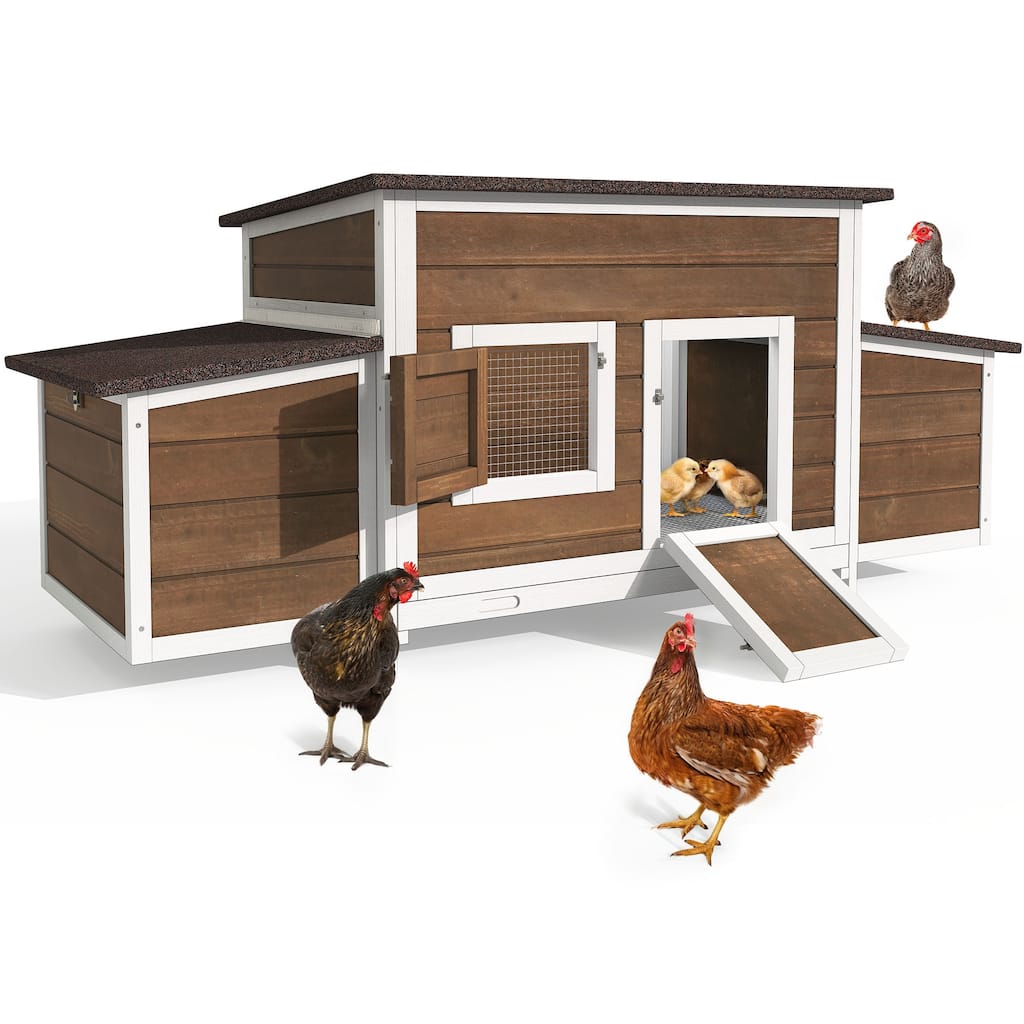 Outdoor Wooden Chicken Coop Hen House with Nesting Box and Run Poultry Cage-66.92"L x 24.8"W x 27.95"H - Brown