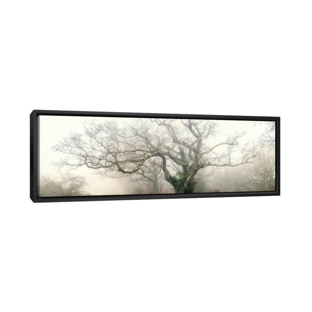 iCanvas "Panoramic Octopus Ghost Oak" by Philippe Manguin Framed Canvas Print