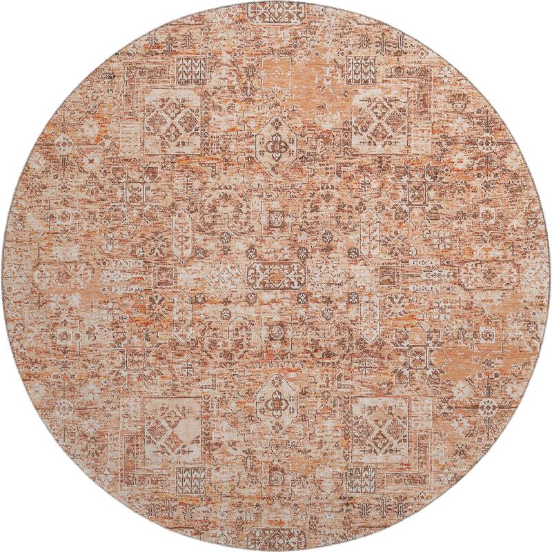 Premium Washable Super Soft Vintage Traditional Mayfield Rug