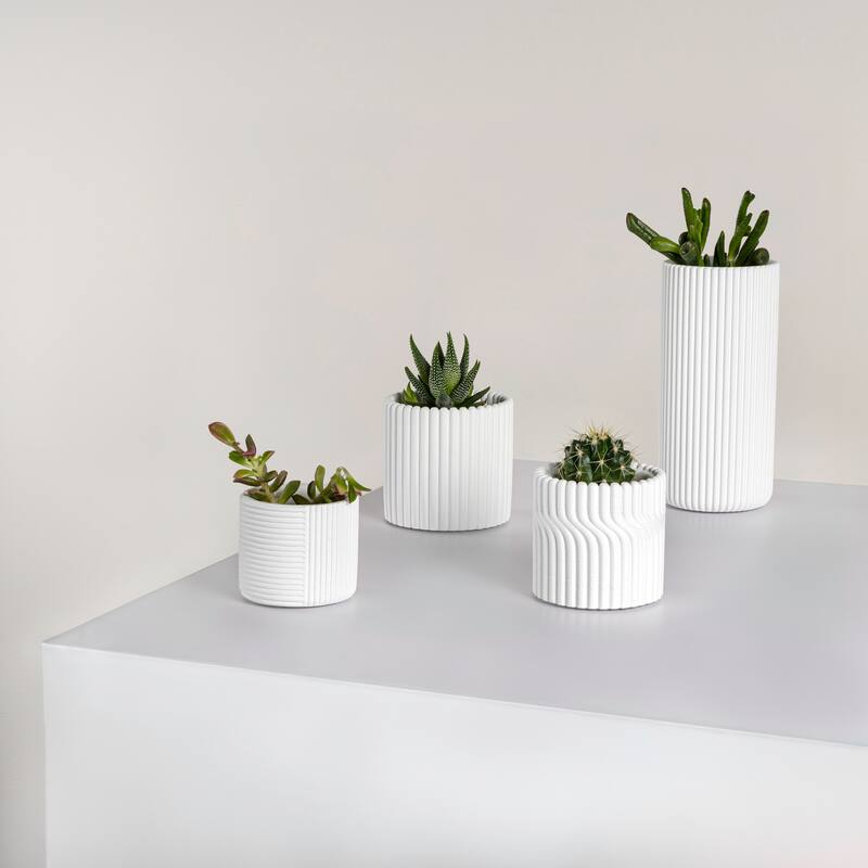 JONATHAN Y Noa Modern Minimalist Handmade Concrete Fluted Cylinder Planter Set (Set of 4)