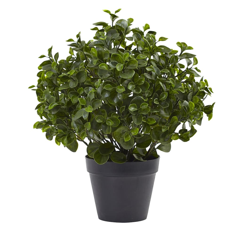 Peperomia Plant 23" - UV Resistant Indoor Outdoor Decor - Lush Greenery, Artificial Plant, Home Office Living Room - 1.92ft.